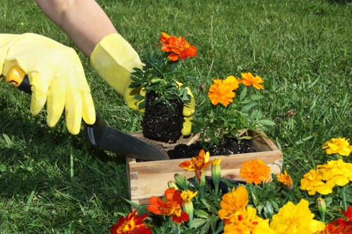 Accepted payment icons for Clapham gardening services