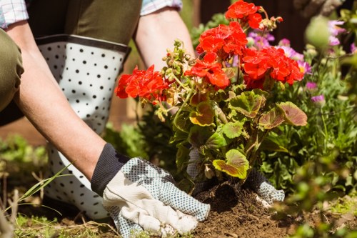 Person using a screen reader to access gardening information on a mobile device